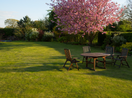 Посевной газон